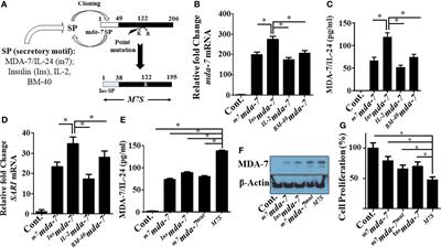 Enhanced Cancer Therapy Using an Engineered Designer Cytokine Alone and in Combination With an Immune Checkpoint Inhibitor